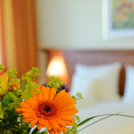Johannesbad Vitalhotel Jagdhof Бад-Фюссинг